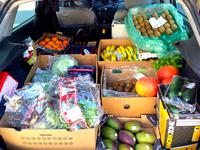 fruits and veggies in the trunk