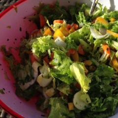Kiadós és ropogós saláta - saláta, cikória, sárgarépa, sárga paprika, uborka, avokádó, citrom, bazsalikom és metélőhagyma